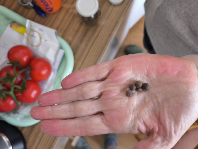 MVIMG_20260524_093054.jpg